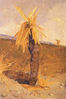Desert Cactus