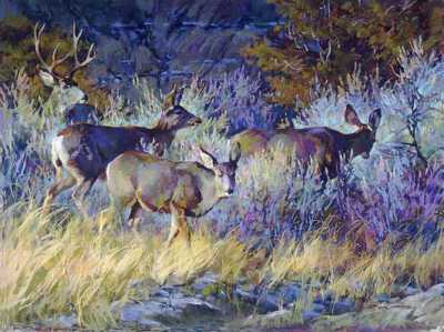 Morning Sage-Mule Deer