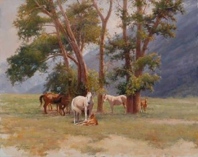 Southfork Serenity
