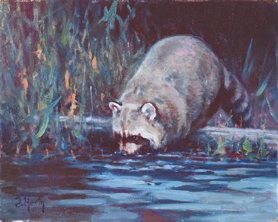 Midnight Fisherman
