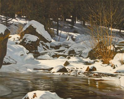 The Many Shapes of Winter