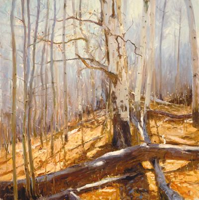 Deep in the Woods