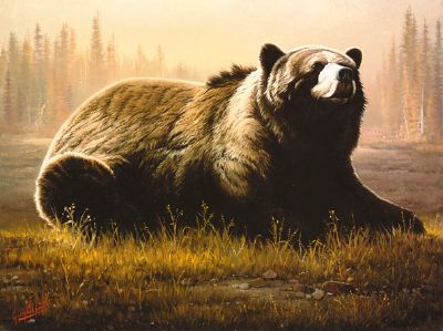 Grizzly on the Upper Yellowstone