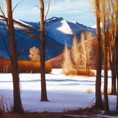 Colorado Snow