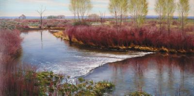 Beaverdam on the Little Laramie