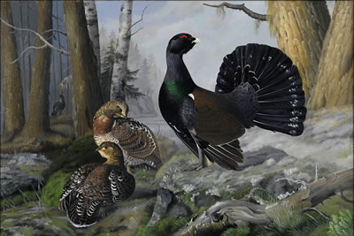 METSOJA by Teppo Tera - Auction record, sale price, and art valuation. Compare with similar artists and explore comparable artworks.