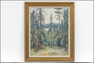 METSÄMAISEMA - SKOGSLANDSKAP