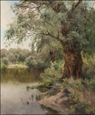 AN OLD TREE
