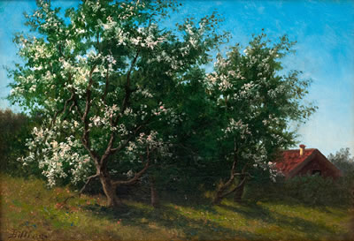 FRUIT-TREE IN BLOOM