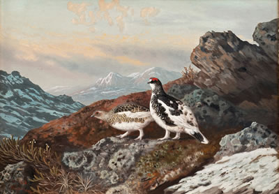 PTARMIGANS