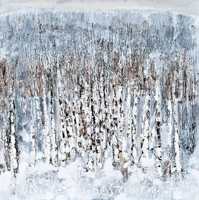 FROSTY BIRCHES