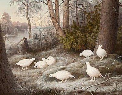 A BEVY OF PTARMIGANS BY THE RIVER