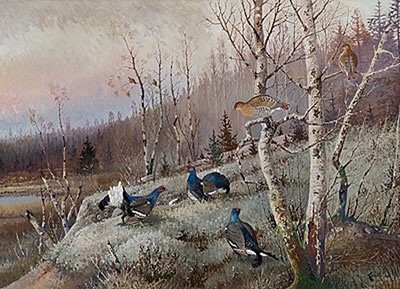 WOOD GROUSE COURTING