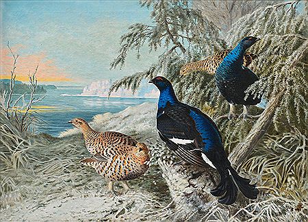 BIRDS IN WINTER