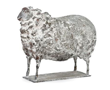 A SHEEP