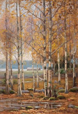 BIRCH TREES IN AUTUMN COLORS