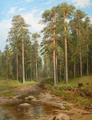 FOREST CREEK
