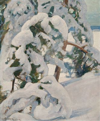 SNOWY PINE TREES