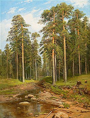 FOREST CREEK.