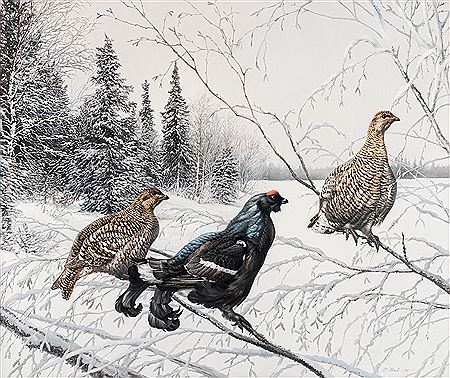 FOREST BIRDS
