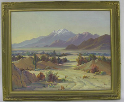 Mountainous desert landscape