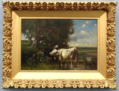 Cows in a Stream