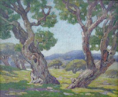 The Old Live Oaks