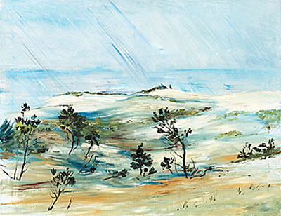 SANDDYNER SKAGEN