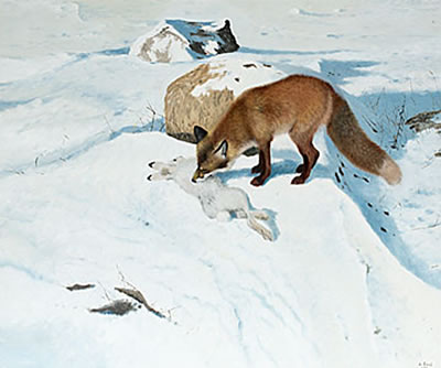 RÄV FÅNGAR HARE I VINTERLANDSKAP by Lennart Sand - Auction record, sale price, and art valuation. Compare with similar artists and explore comparable artworks.