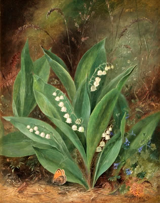 Untitled (a pair)