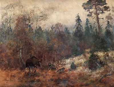 Moose and hounds