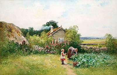 In the garden plot.