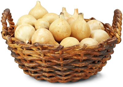 Basket with 33 onions