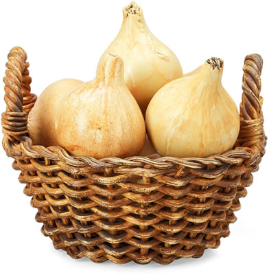 Basket with 8 onions