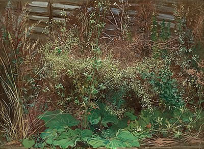 "Grönska vid en gärdesgård" (Verdure by fence)