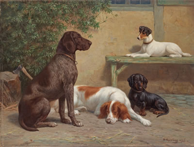 Group of dogs