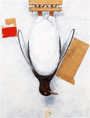 "Vie d'un pinguin"