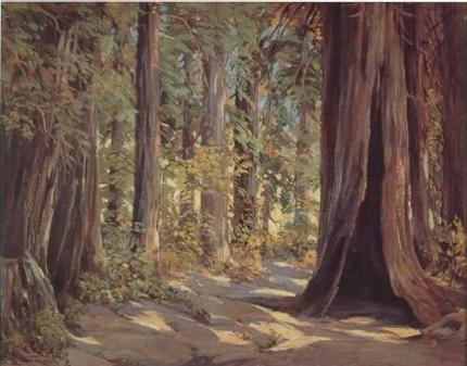 Path Through Muir Woods