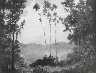 Landscape Through a Clearing