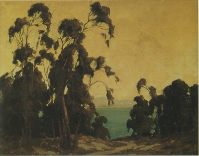 Trees in the Evening Light