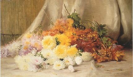 Chrysanthemums