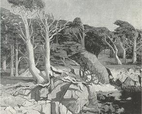 North Shore, Point Lobos
