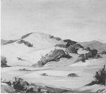 Desert Dune