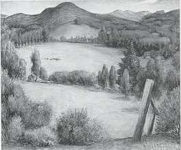 California Ranch With Cows