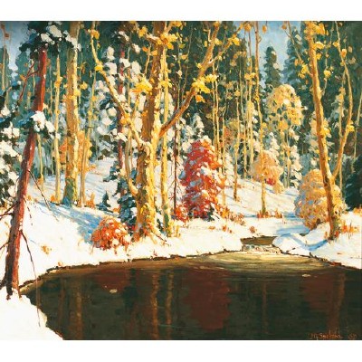 Autumn in the Forest