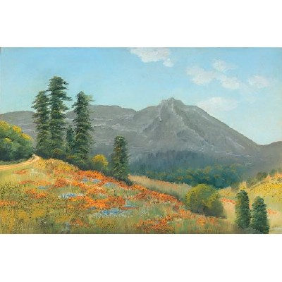 Mt. Tamalpais by Edwin Siegfried - Auction record, sale price, and art valuation. Compare with similar artists and explore comparable artworks.
