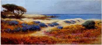 Pacific Grove Beach, California