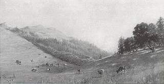 Cattle Grazing, Marin County