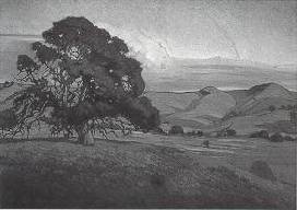 Creeping Shadows, Vallejo