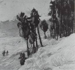 Desert Palms